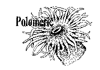 POLOMERIC