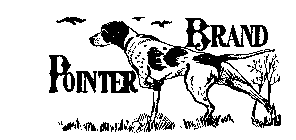 POINTER BRAND