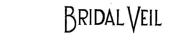 BRIDAL VEIL