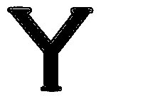 Y