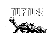 TURTLES