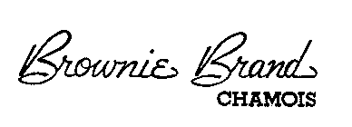 BROWNIE BRAND CHAMOIS