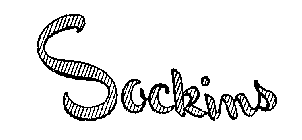 SOCKINS