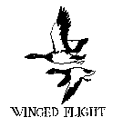 WINGED FLIGHT