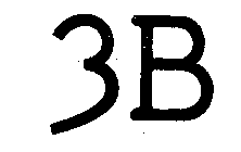 3 B