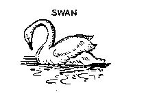 SWAN