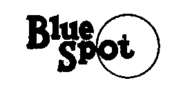 BLUE SPOT