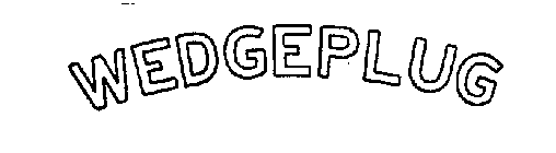 WEDGEPLUG