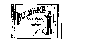 BULWARK CUT PLUG