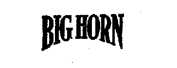 BIG HORN