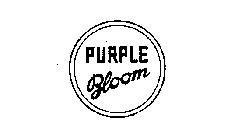 PURPLE BLOOM