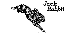 JACK RABBIT