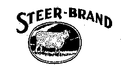 STEER-BRAND