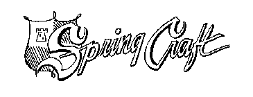 SPRING CRAFT