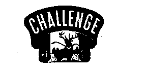 CHALLENGE