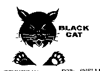 BLACK CAT