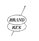 BRAND REX