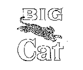 BIG CAT