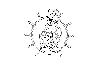 Image Trademark