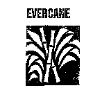 EVERCANE