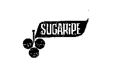 SUGARIPE