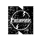 N PANASONIC