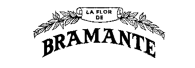 LA FLOR DE BRAMANTE