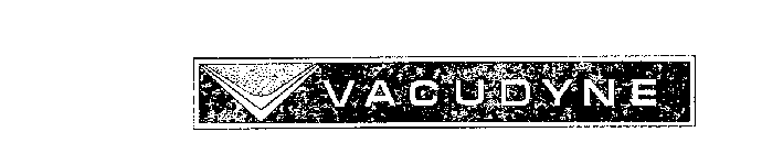 VACUDYNE