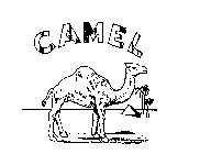 CAMEL