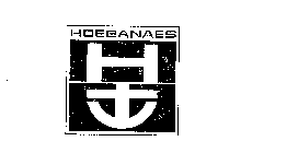 HOEGANAES