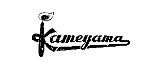 KAMEYAMA