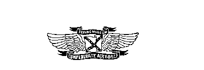 CONFEDERATE AIR FORCE