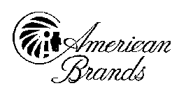 AMERICAN BRANDS