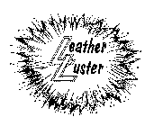 LEATHER LUSTER