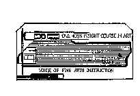 ONE HOUR INSIGHT COURSE IN ART VOICE OF FINE ARTS INSTRUCTION
