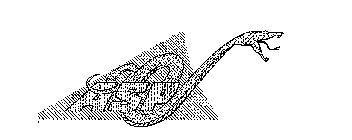 ASP