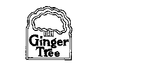 GINGER TREE