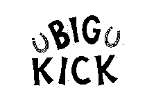 BIG KICK