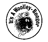 IT'S A WOOLLEY-BOOGER