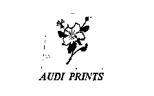AUDI PRINTS