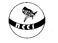 NCCI