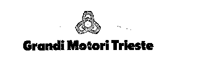 GRANDI MOTORI TRIESTE