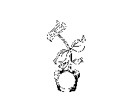 Image Trademark