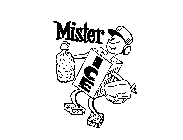 MISTER ICE