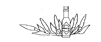 TABASCO