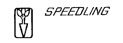 SPEEDLING