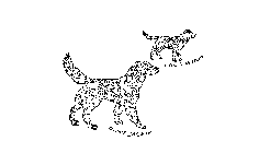CANIS MAJOR CANIS MINOR