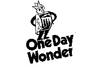 ONE DAY WONDER