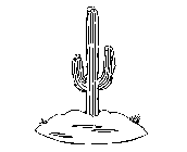 Image Trademark