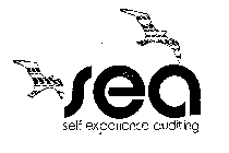 SEA SELF EXPERIENCE AUDITING 